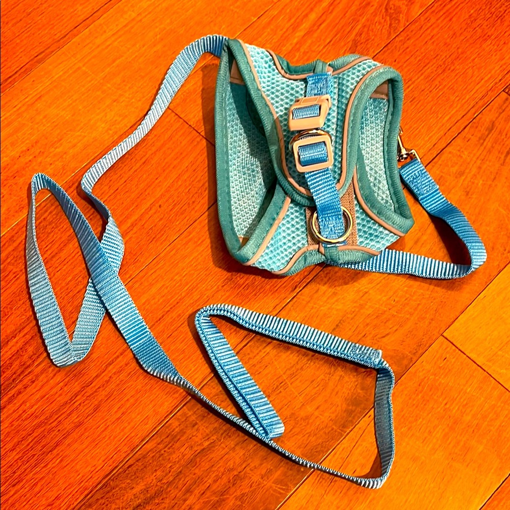 XXS Dog Harness with Matching Leash, NWOT